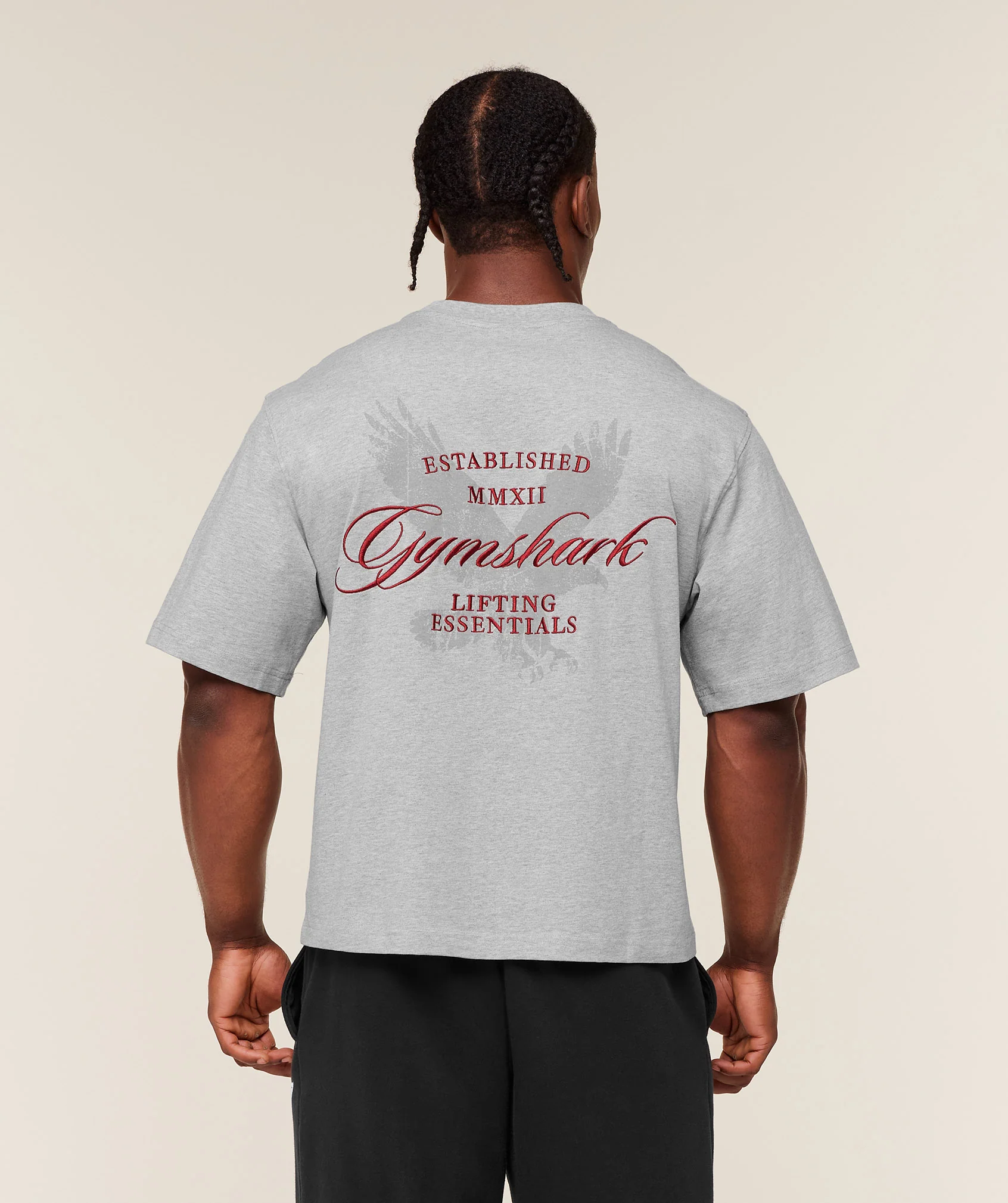 Gymshark Eagle Script Graphic T-Shirt - Light Grey Core Marl