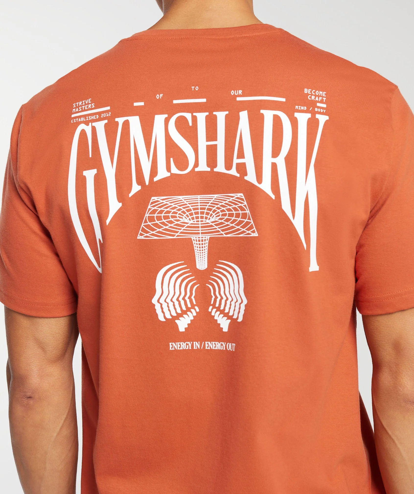 Gymshark Hybrid Wellness T-Shirt - Rust Orange - Image 5