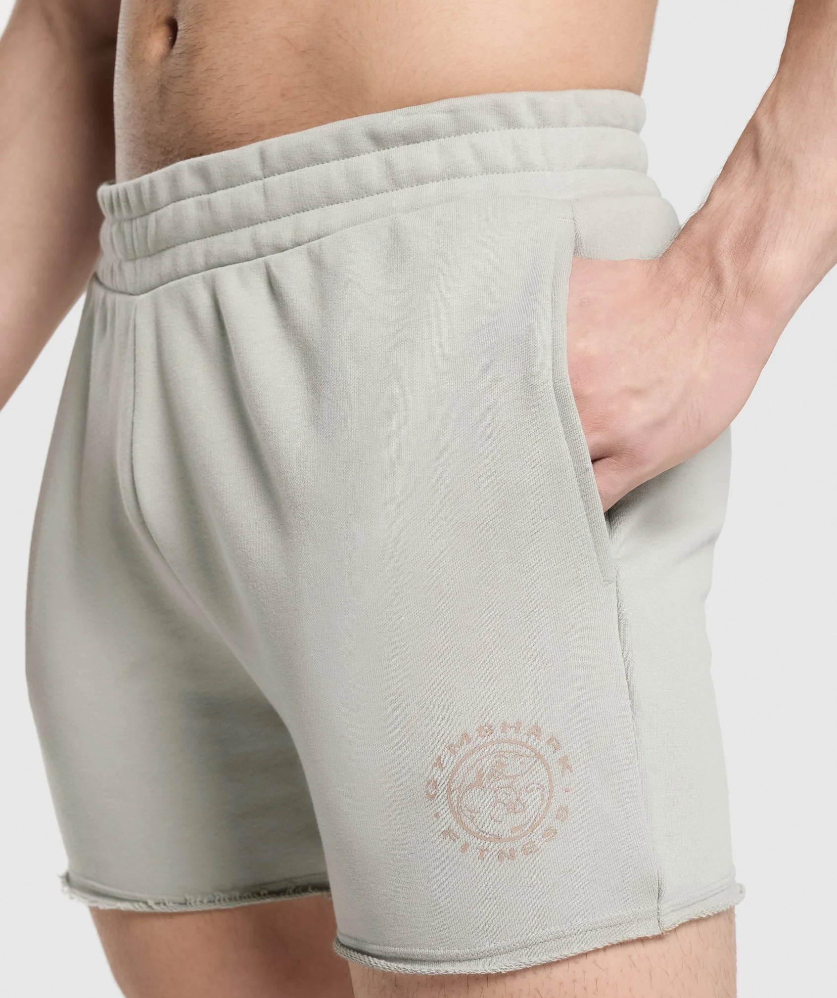 Gymshark Legacy Shorts - Stone Grey - Image 5