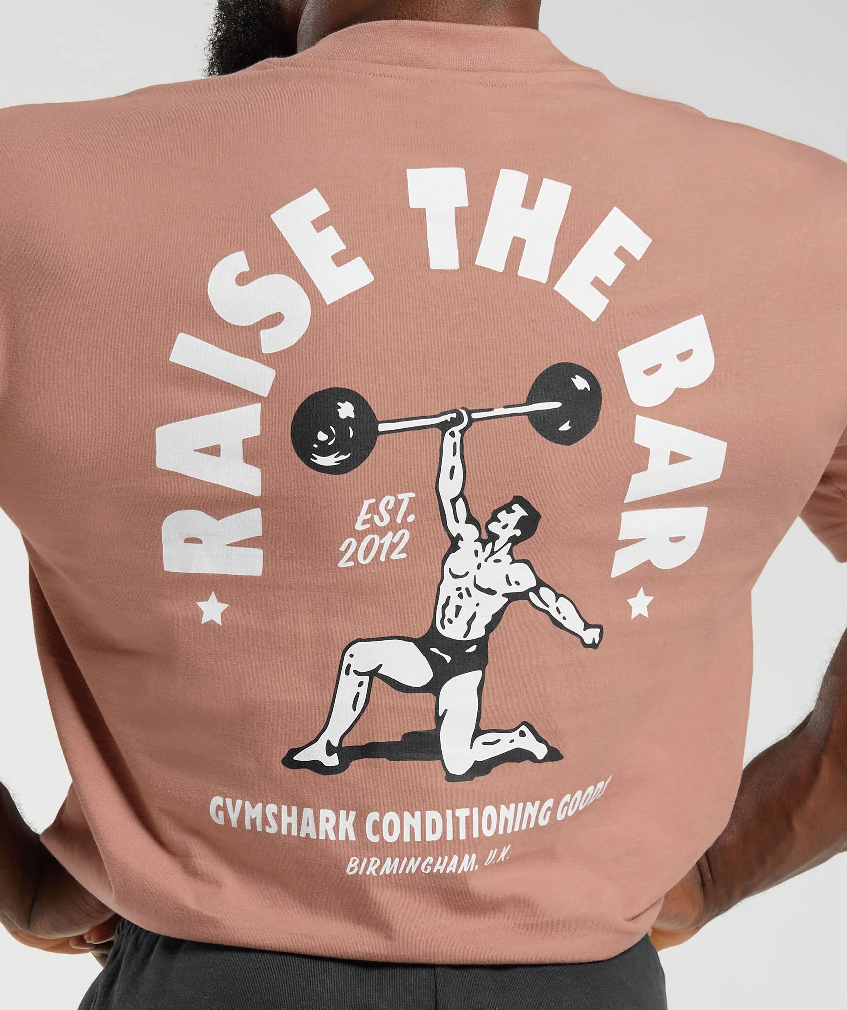 Gymshark Raise the Bar T-Shirt - Faded Pink - Image 6